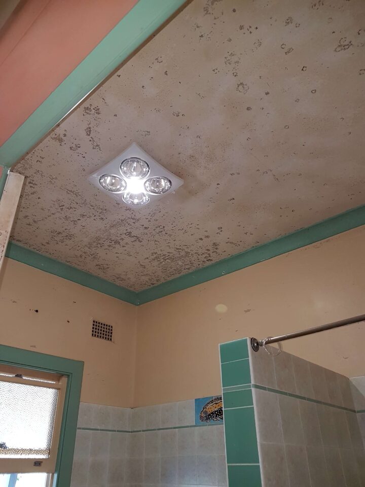 Ceiling repairs completed before rental repainting