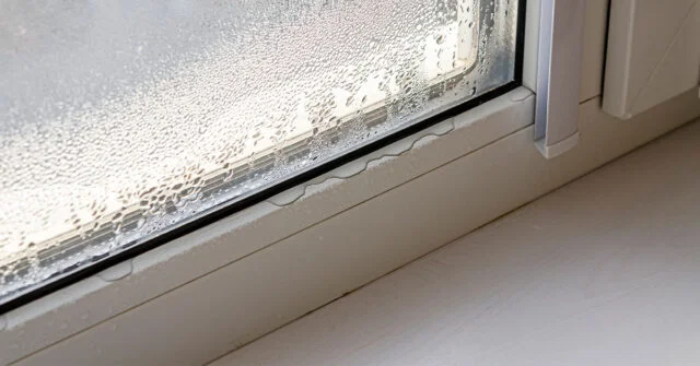 Bottom of a large window with lost of condensation leading to puddles of water.