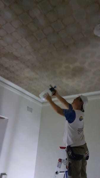 Removing ceiling paper to prepare for new paint.