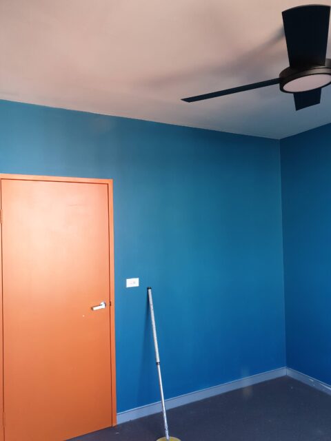 Before - Interior Painting Rosebery